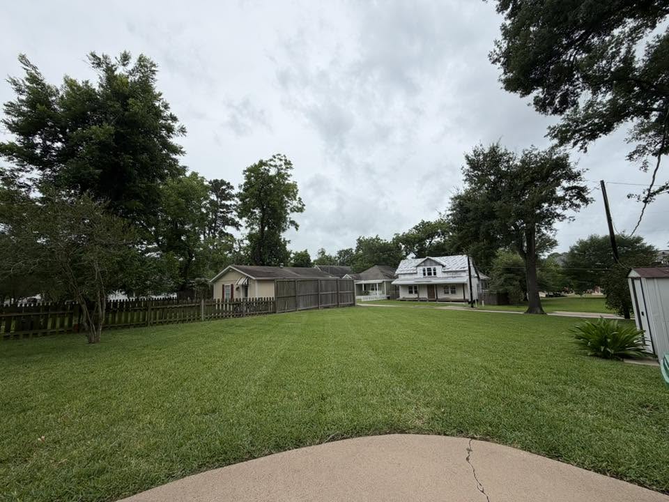 Wide freshly mowed backyard with mowing stripes